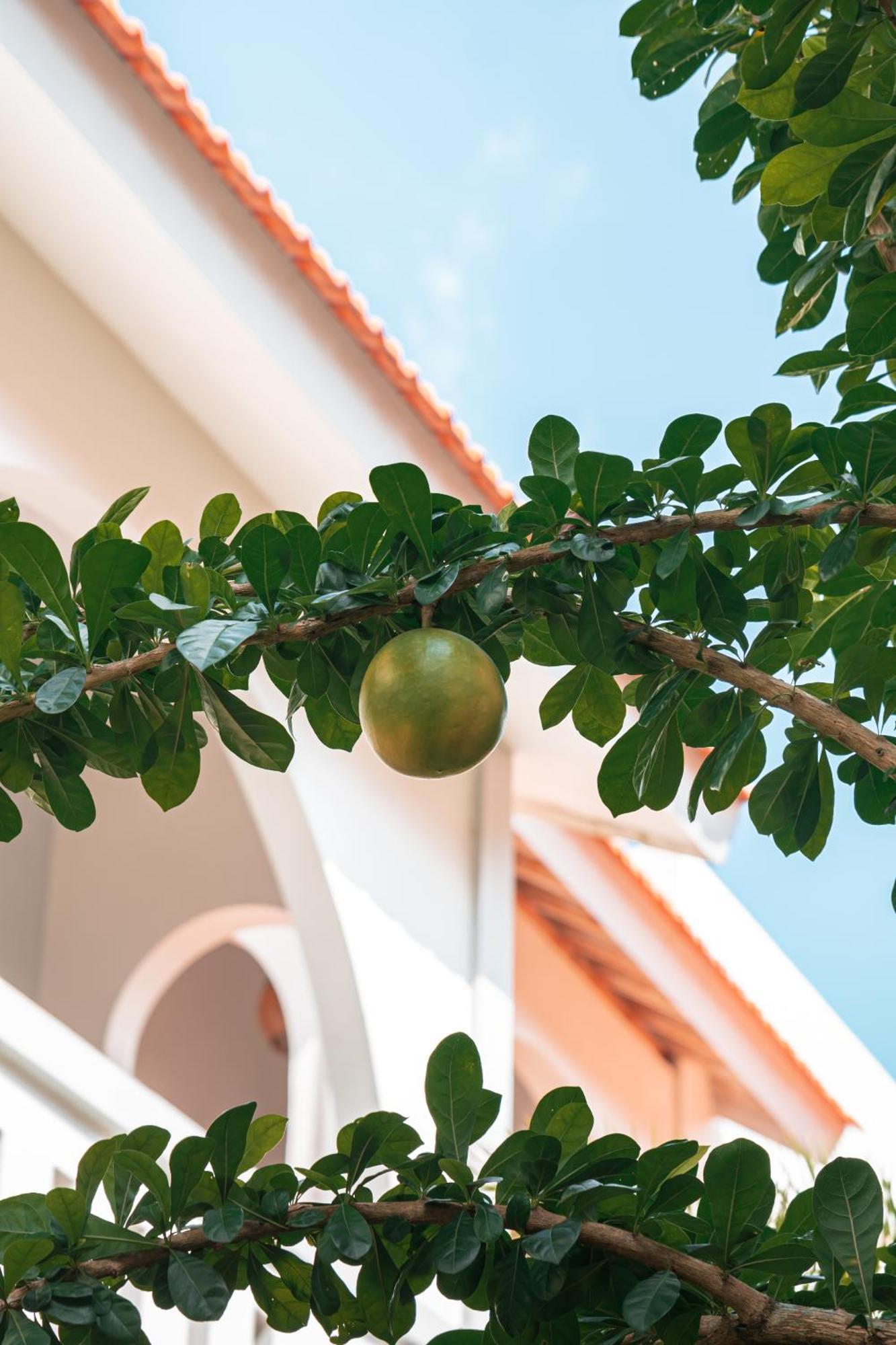 Mahalona Bali Stay Canggu Kültér fotó
